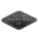 Company_brazil_amadeo_rossi.png