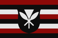 Flag_PNS.png