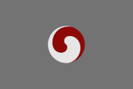 Flag_USA_technocracy.png