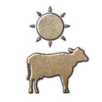 PM_open_air_stockyards.png