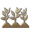 PM_plantation_production.png