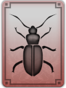 Character_trait_beetle_eared.png